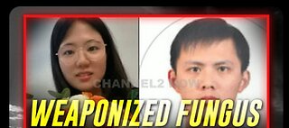 CCP Agents Caught Trying To Sneak A Deadly Mold Into The United States