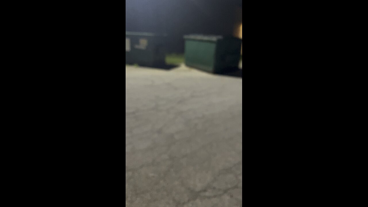 The midnight Fox