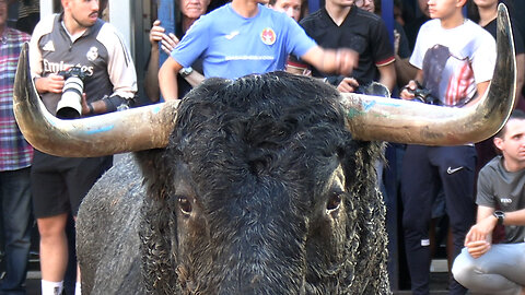 2025 10 25 ONDA FIRA D'ONDA