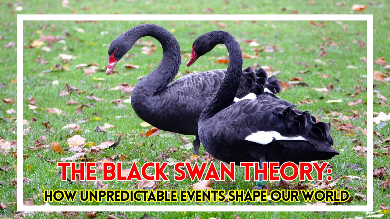 The Black Swan Theory: How Unpredictable Events Shape Our World