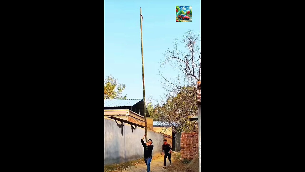 Amazing Talent