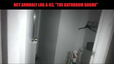 OCT ANOMALY LOG A-03, "THE BATHROOM GNOME"