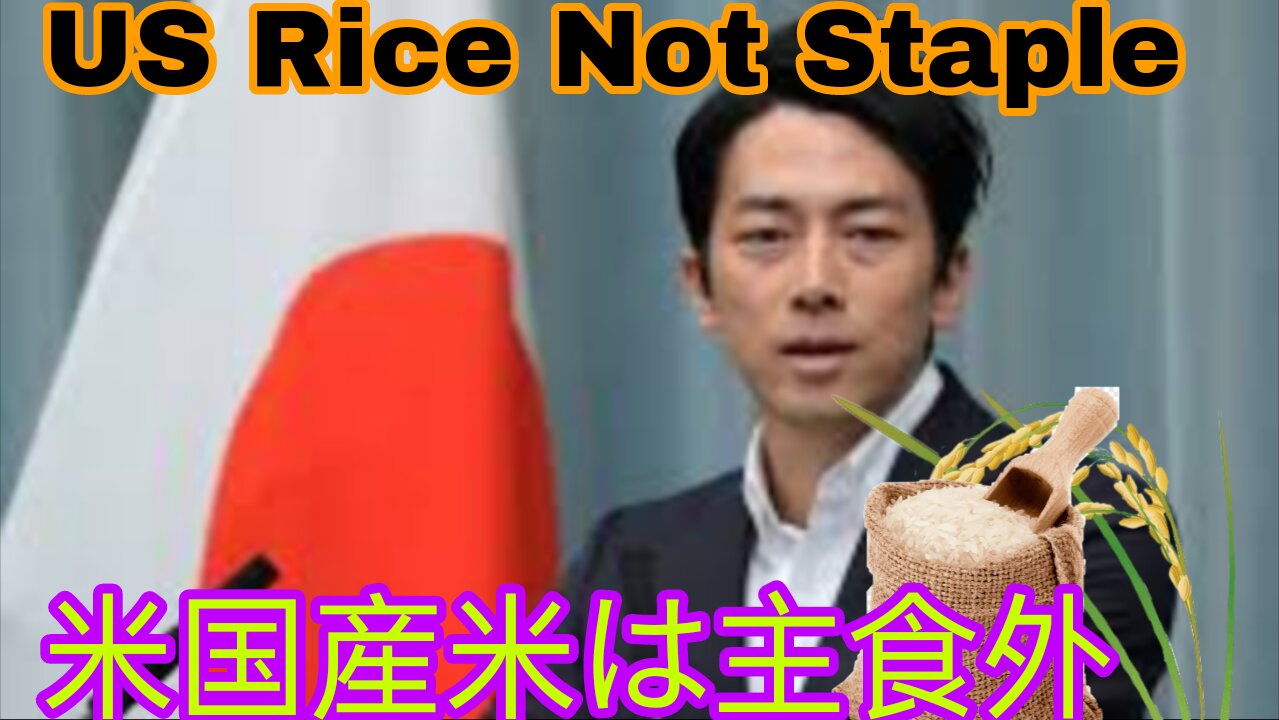 米国産米は主食用に使わず 小泉氏が日米合意の影響を説明