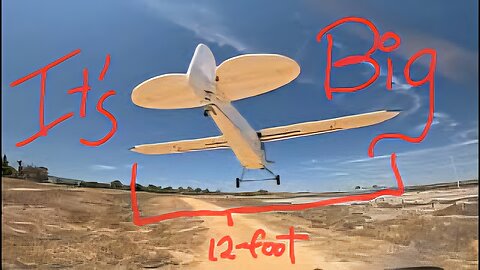 Giant 12-Foot Cub (Up Close & Personal)