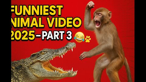 FUNNIEST ANIMAL VIDEO 2025 – PART 3 🐵🆚🐊 (You Won’t Believe This One!)