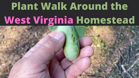 Plant Walk Around the West Virginia Homestead