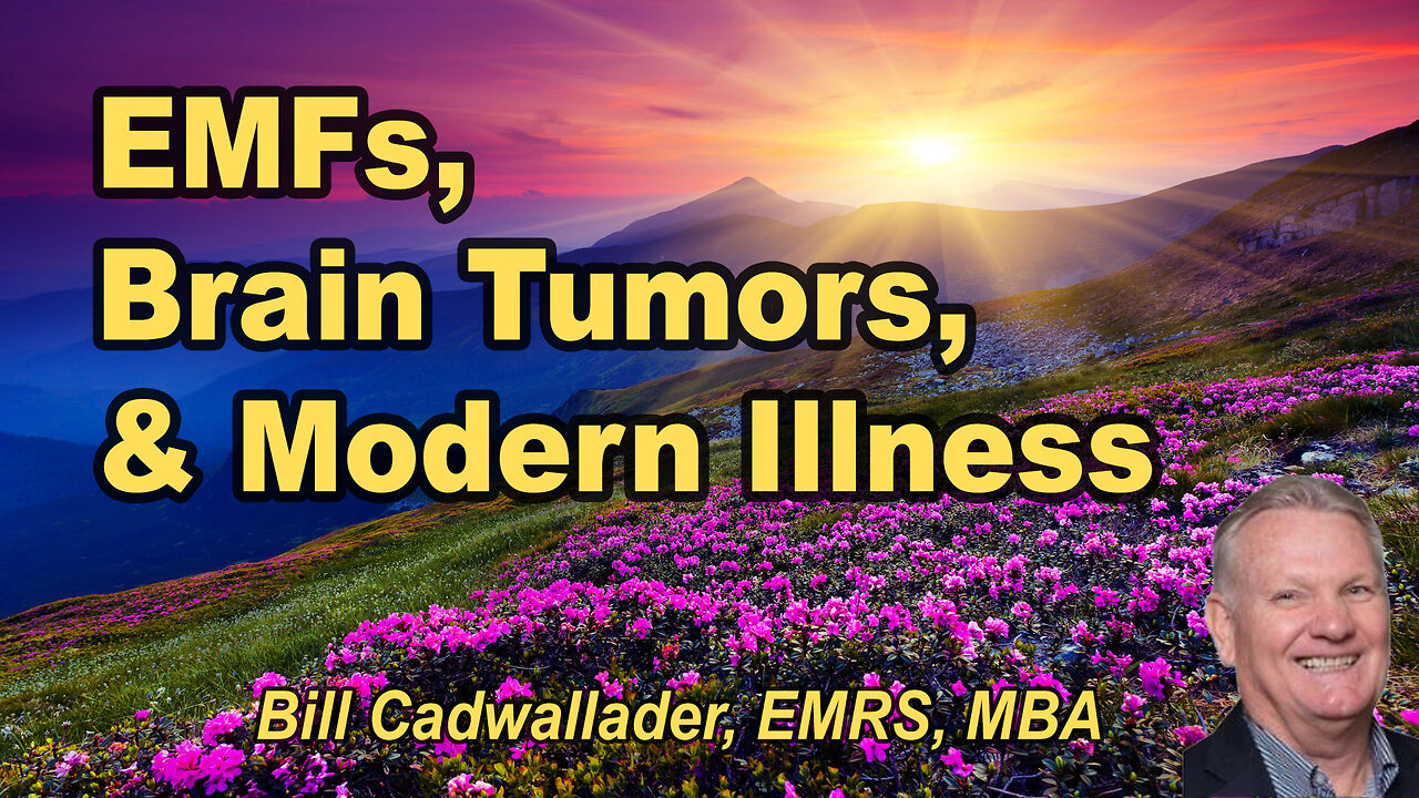 EMFs, brain tumors, and modern illness