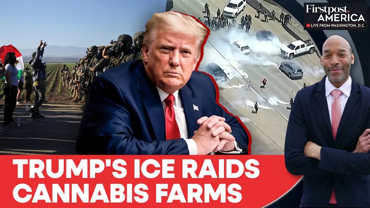 California: Trump's ICE Raids Target Cannabis Farmworkers | Firstpost America | N18G