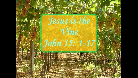 John 15 song (Jesus is the Vine)