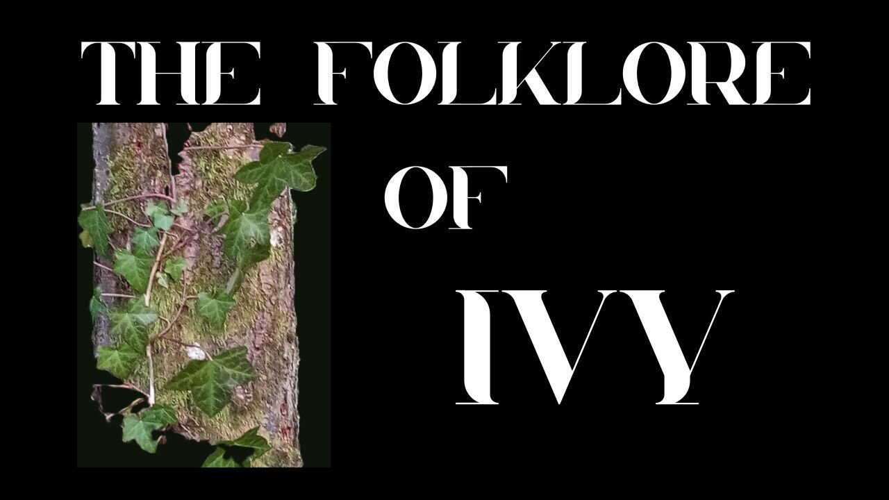 S9 Ep 5 Ancient Vines: The Superstitions & Folklore of Ivy