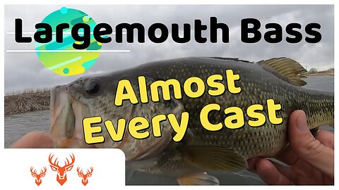 Sightfishing Largemouth Bass | Almost Every Cast | 44yr Old Drift Boat | Small Montana Pond