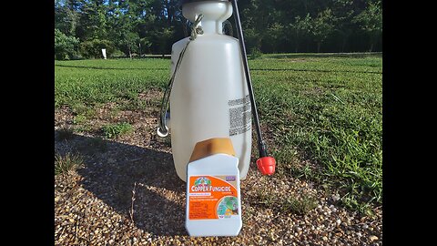 Spraying Copper Fungicide For Plant Disease Resistance 5/13/25