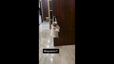 कैसी मम्मा है टागं दिया मुझे