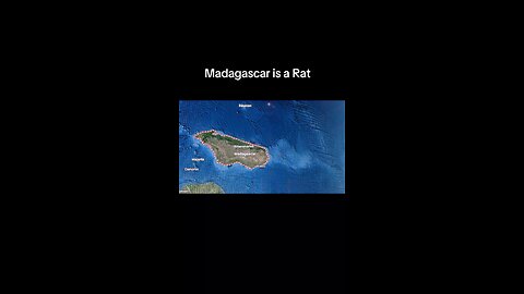 Madagascar is a rat