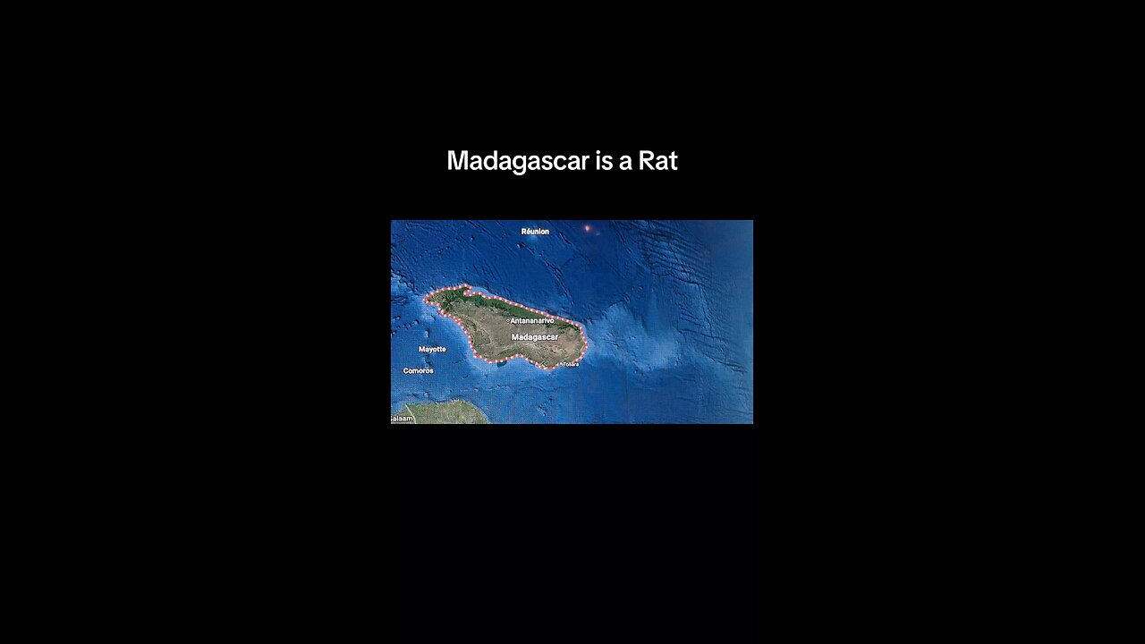Madagascar is a rat