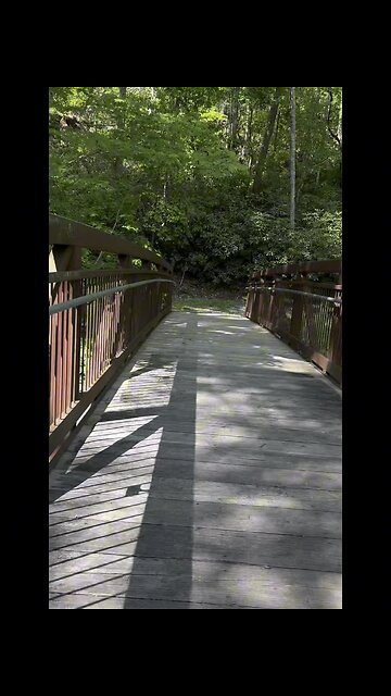 Cherokee/Virginia Creeper Trail!#hiking #hikingtrail #nature #naturetrail #virginiacreepertrail