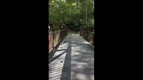 Cherokee/Virginia Creeper Trail!#hiking #hikingtrail #nature #naturetrail #virginiacreepertrail