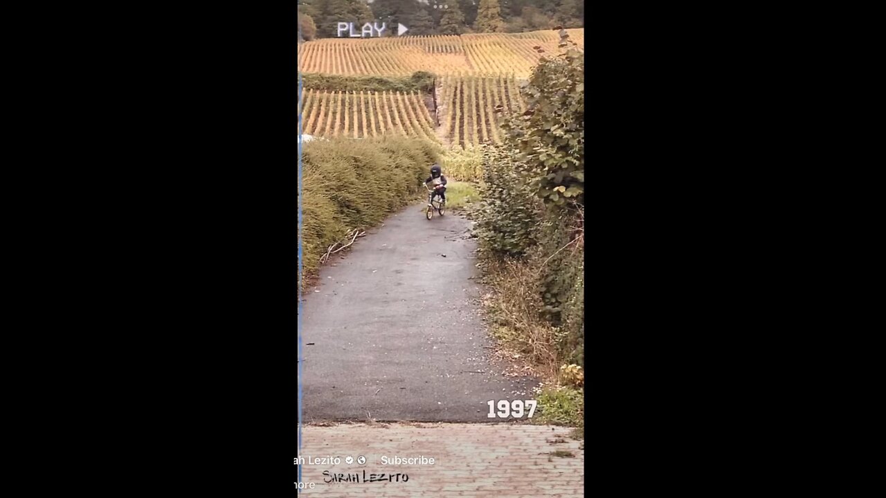 Stunting, The Beginning