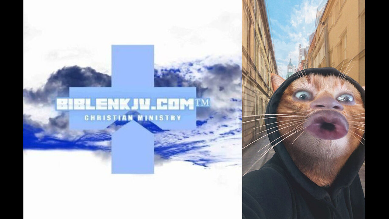 BIBLENKJV.COM™ 🛐 NOT YOUR EVERYDAY KITTY? #COMEDY