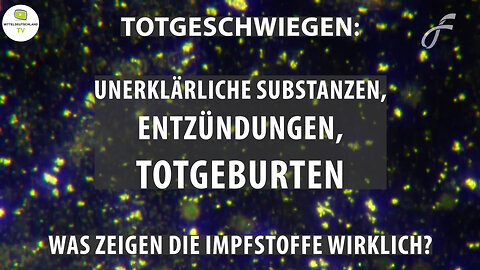 Totgeburten – was zeigen die Impfstoffe wirklich?