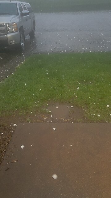 Holy Hail So this happened.