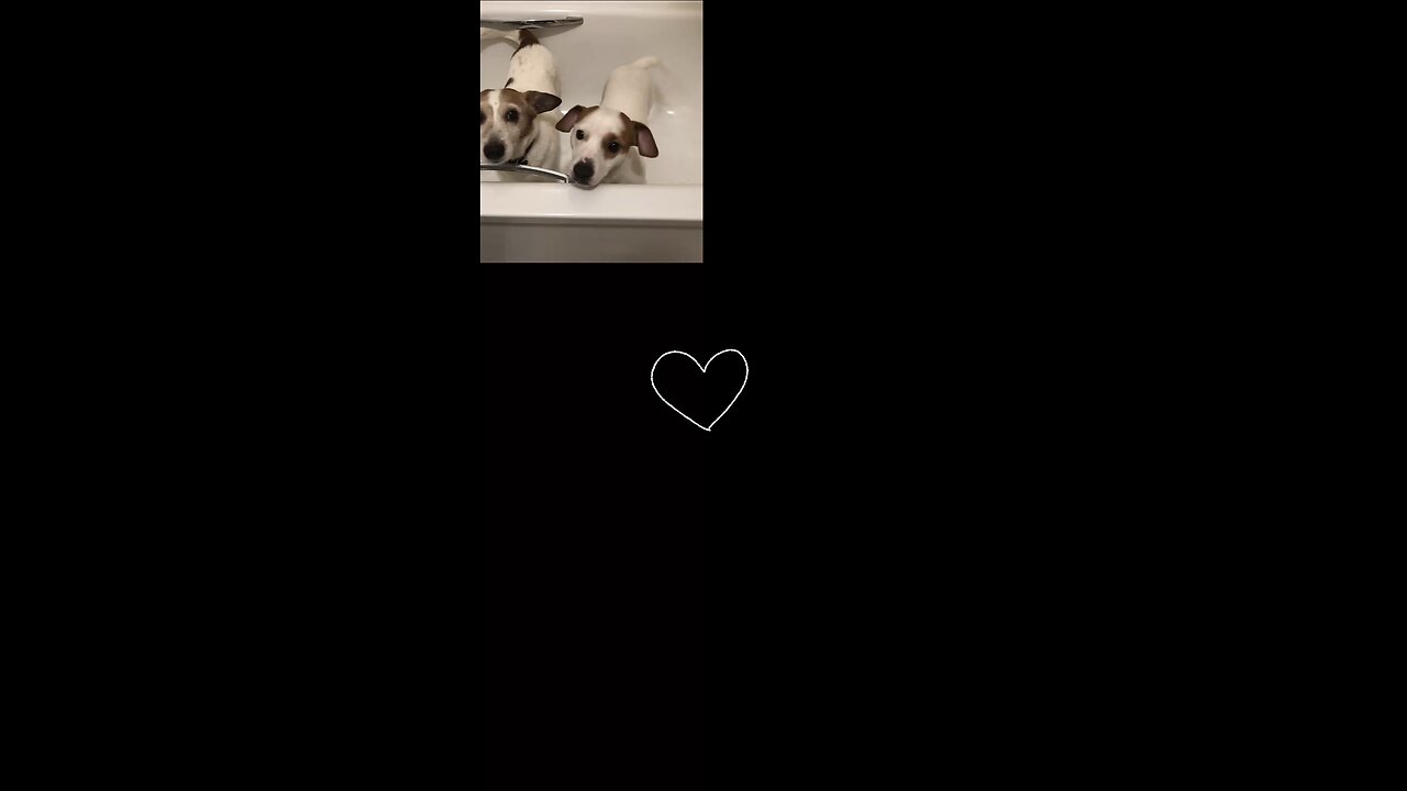 The best boys