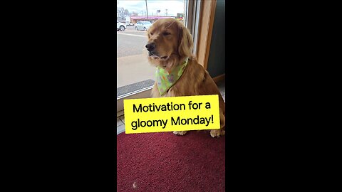 Motivation for a gloomy Monday!