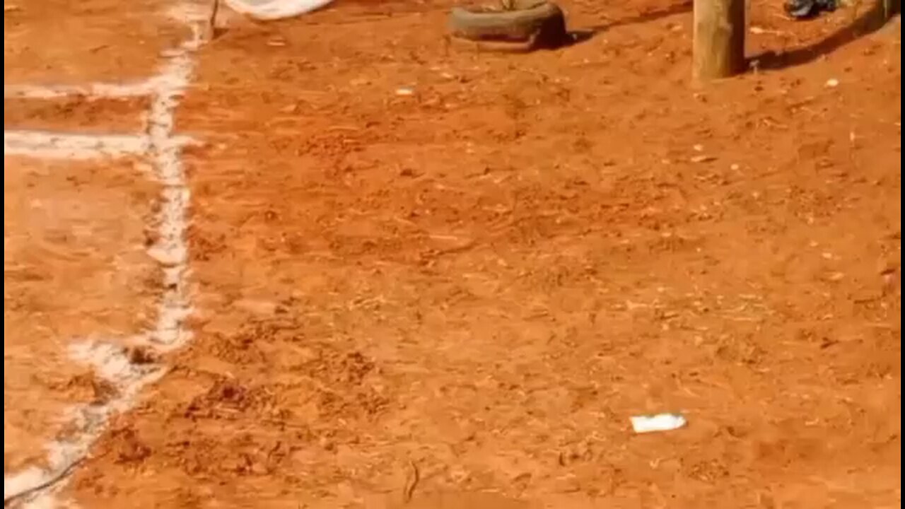 OUR NECLM ARENA