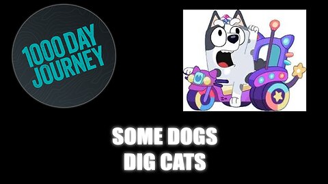 1000 Day Journey 0702 Some Dogs Dig Cats