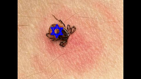 owen shroyer - jewish parasite wants to parasite off asia