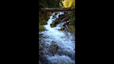 The beauty of nature