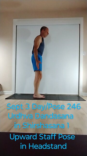 Urdhva Dandasana in Shirshasana 1 / Upward Staff Pose in Headstand
