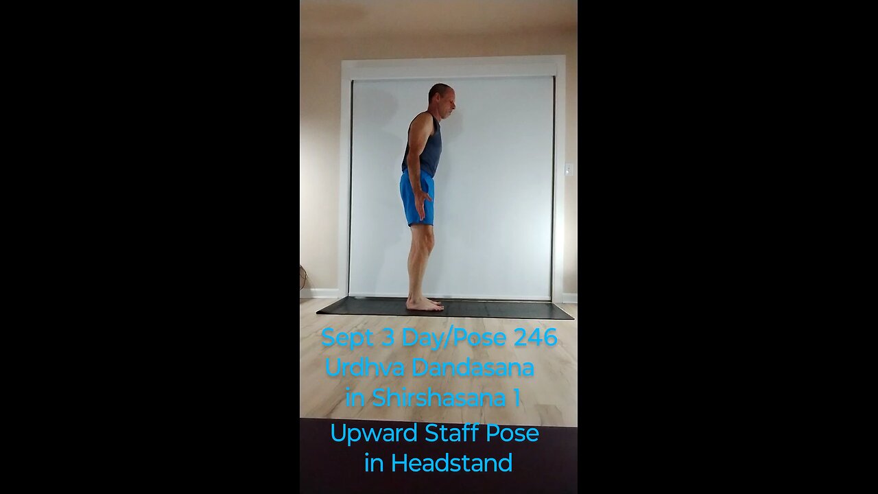 Urdhva Dandasana in Shirshasana 1 / Upward Staff Pose in Headstand
