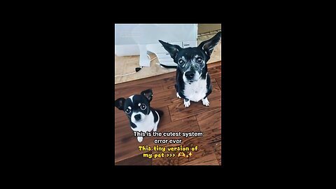 AI Created a Mini Pepper – Did My Dog Just Photocopy Herself?!