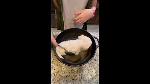 cute puppy funny video