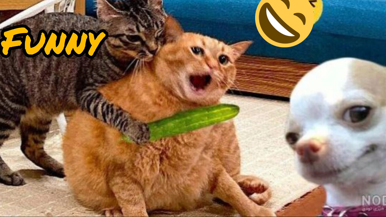 Cute 🐕 animals 🐶💖