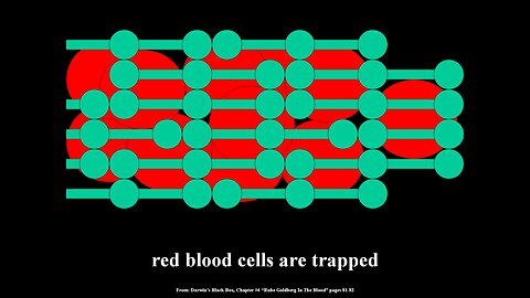 Red Blood Cells & Clotting