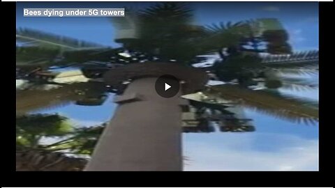 "5G Towers Linked to Bee Deaths"