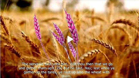 "BIND HIM HAND AND FOOT"🤚🏻🦶🏻| ARE THE TARES BEING REMOVED BY THE JAB?💉💉 ⚰️☠️