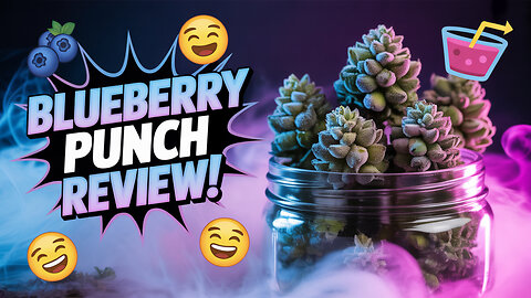 Blueberry punch smalls from JK Distro