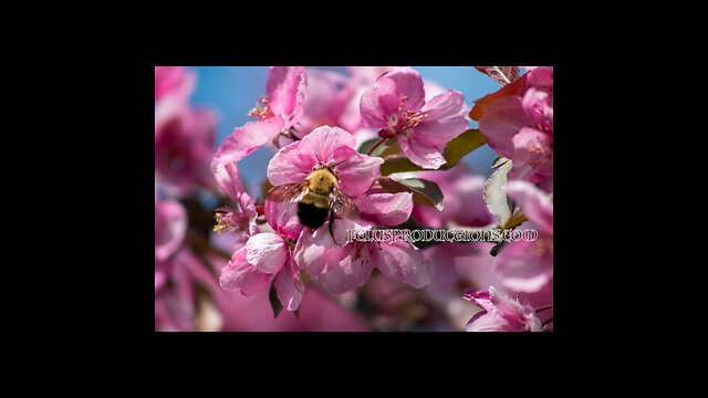 Photo Recap April 2025 Part o2