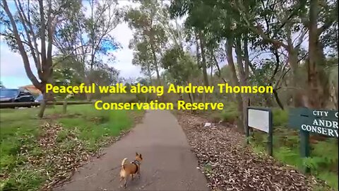 Peaceful walk along Andrew Thomson Conservation Reserve, Perth, Australia, with Cheeky the dog.