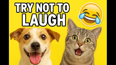 "Funniest Animals Compilation 2025|Try Not To Laugh Challenge"