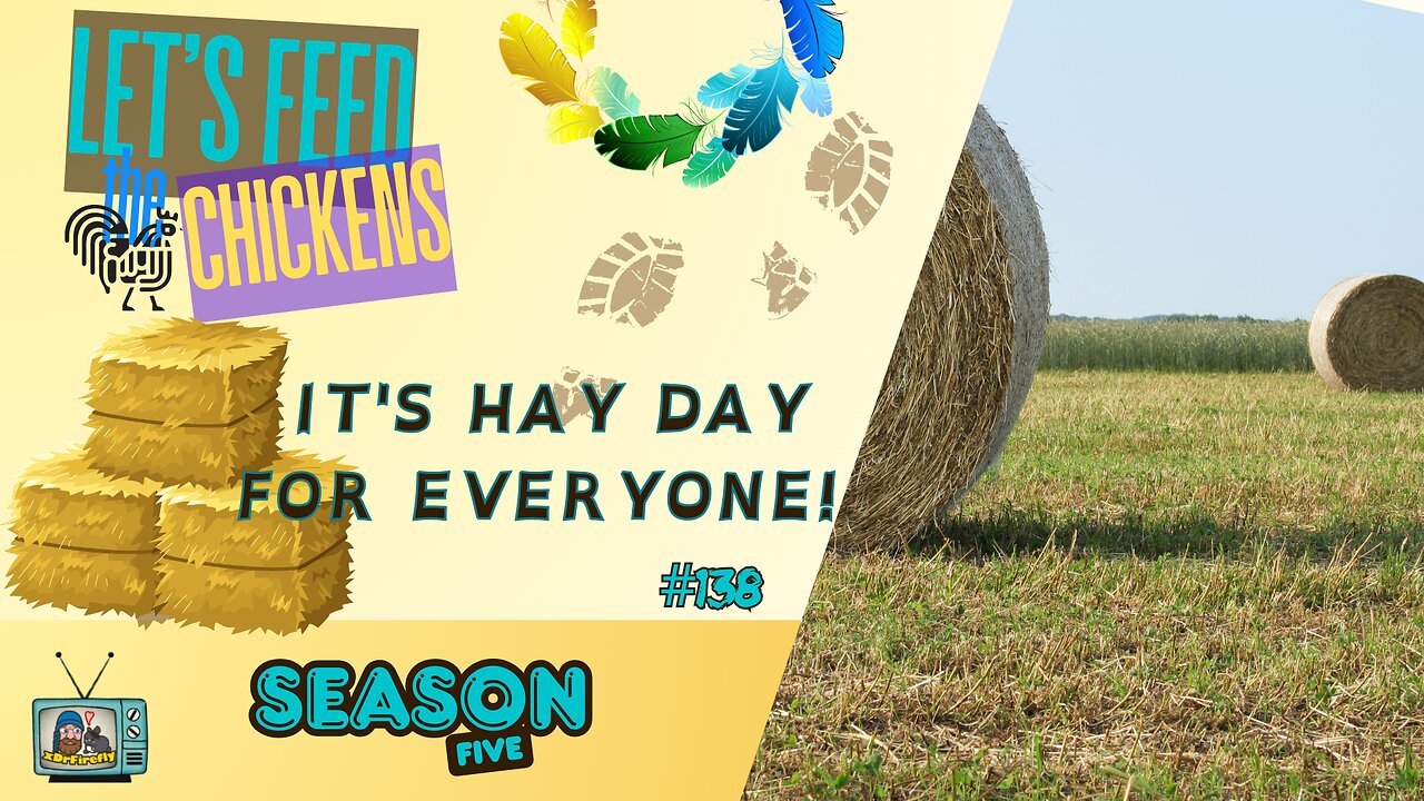 It's Hay Day for Everyone! | Let's Feed the Chickens | E138