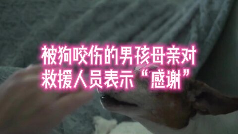 被狗咬伤的男孩的母亲对救援人员表示“感谢”