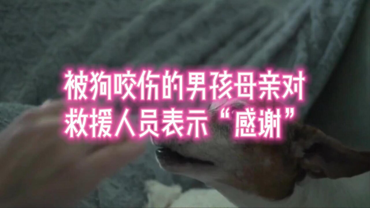 被狗咬伤的男孩的母亲对救援人员表示“感谢”
