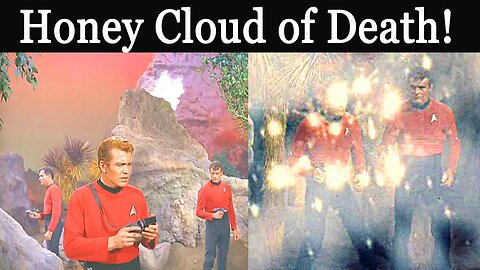Star Trek Friday