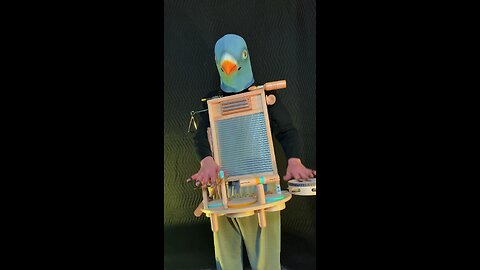 Pigeons percussive interlude