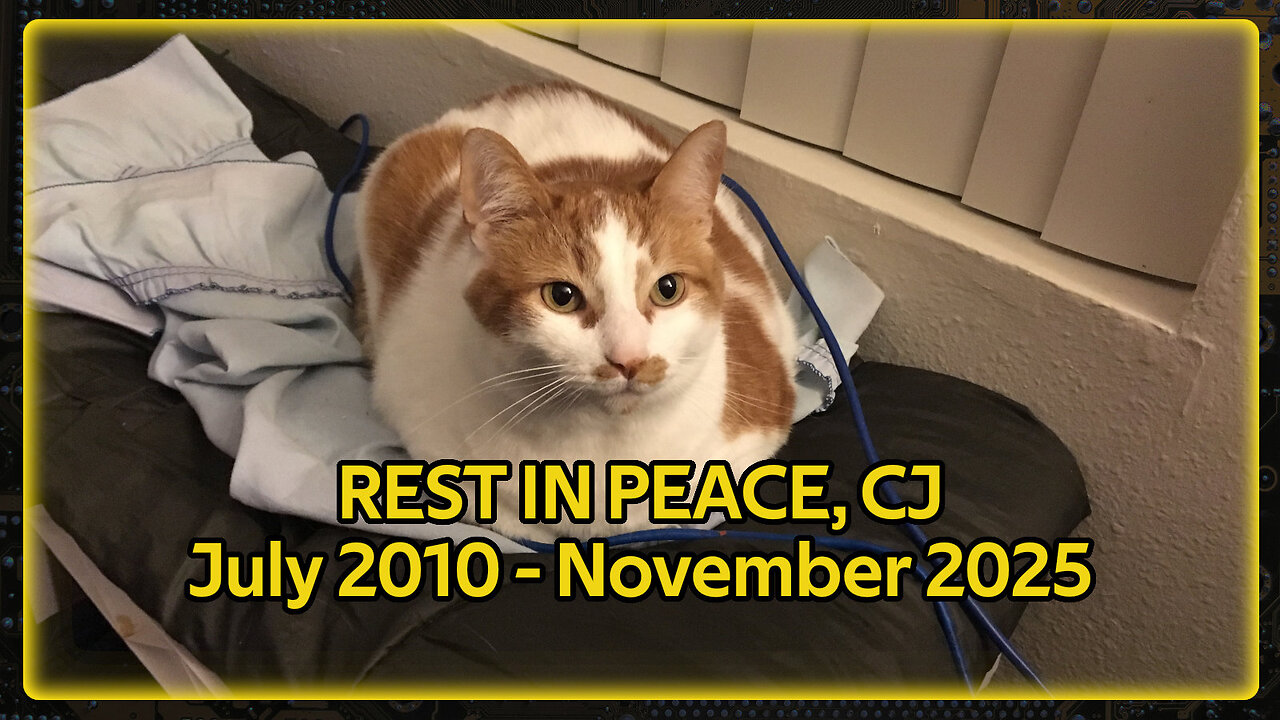 Rest in Peace, CJ the Cat 🐈 😢