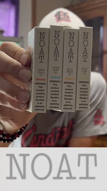 NOAT Nicotine Pouches Review